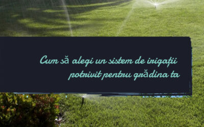 Cum să alegi un sistem de irigații potrivit pentru grădina ta